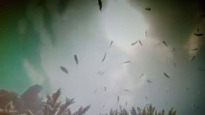 Обжигаюсь не в первый раз. читает автор Богдан Бандура.