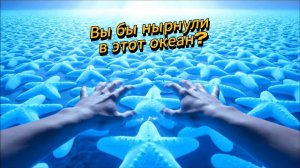 Вы бы нырнули в этот океан