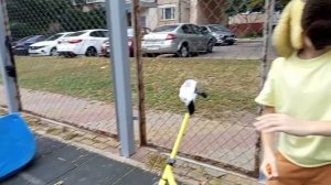 6 серия подсосники