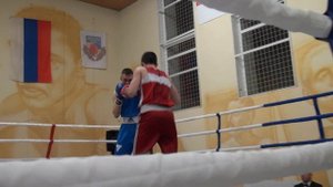 Бокс. Памяти Арестовича Б.В.