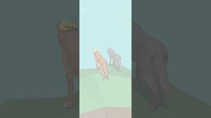 котики и собаки