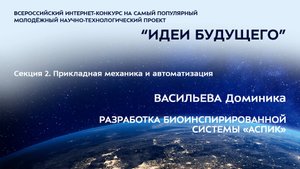 (2-12) ВАСИЛЬЕВА Доминика Александровна