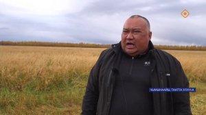 Улууска бурдугу үүннэрэр хаһаайыстыбалар үлэлэрэ.