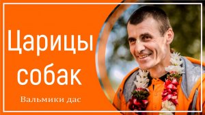 Царицы собак