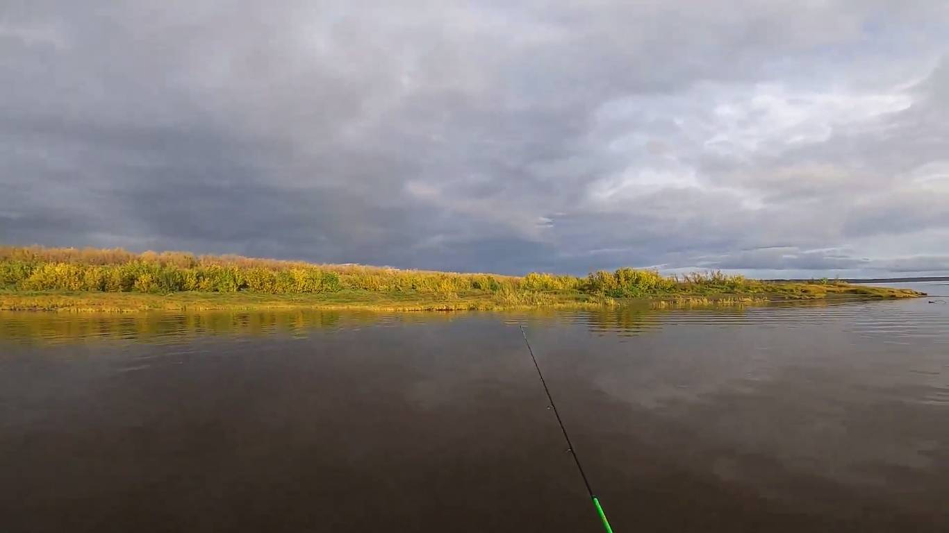Рыбалка на реке с сыном. Отрыв по хищнику.