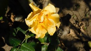 22==09==2025 ПВН КМР (36)