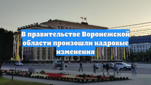 В правительстве Воронежской области произошли кадровые изменения