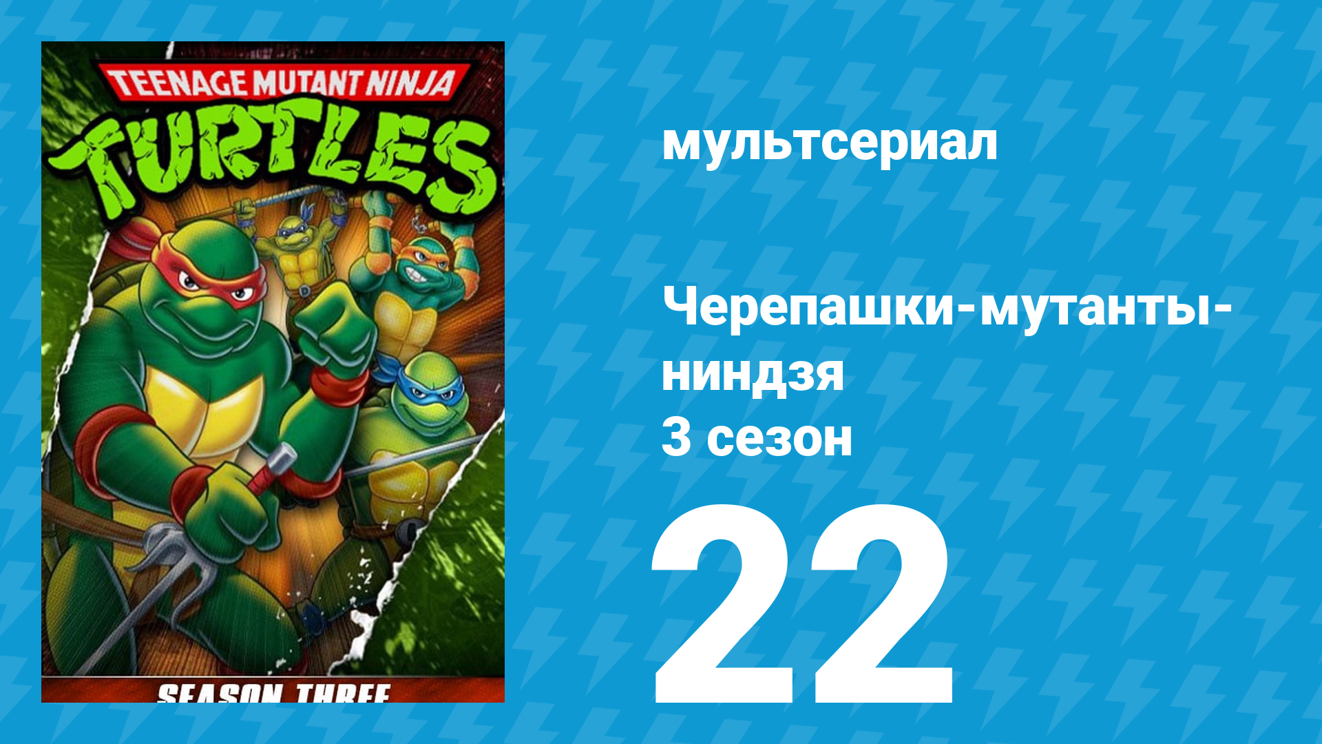 Черепашки-мутанты-ниндзя 3 сезон 22 серия (мультсериал, 1989)