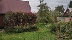 VID_20250923_144941