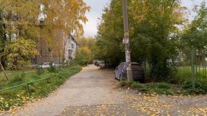 Обь. Золотая осень 2025
