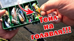 Я ДАЖЕ И НЕ ДУМАЛ, ЧТО ОНА МОЖЕТ ТАКОЕ!!! МОЁ НОВОЕ ОТКРЫТИЕ ПРИ ЛОВЛЕ ГОЛАВЛЯ!!!