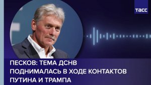 Песков: тема ДСНВ поднималась в ходе контактов Путина и Трампа