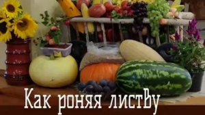 Как роняя листву ♥️ христианская музыка