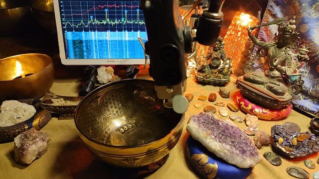 655Н 19,5см Соль183 516 973гц  1163гр