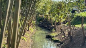 Экология возвращается в село Виноградово