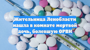 Жительница Ленобласти нашла в комнате мертвой дочь, болевшую ОРВИ