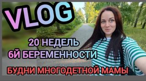 Vlog 5_136 🤰🏼 20 неделек моей 6й беременности 🩵будни многодетной мамы