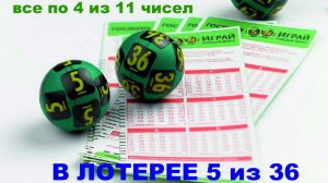 Система для игры в лотереи из 5 чисел