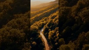 Хрустальный шар