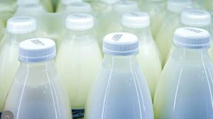 Депутат Оглоблина указала на преобладание в магазинах натуральной молочной продукции