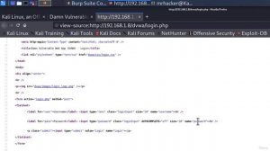 98. Hydra Bruteforce Attack Пример 1