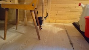 Маленькие пони.🐎