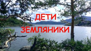 Дети земляники (документальный фильм)