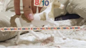 Оцениваю своих лошадей