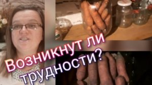 Хранение моркови