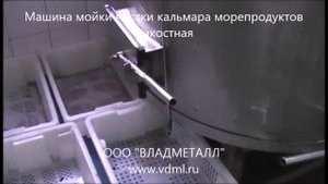 Машина оборудование для мойки чистки кальмара морепродуктов от чешуи шкуры слизи барабанного типа