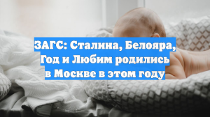 ЗАГС: Сталина, Белояра, Год и Любим родились в Москве в этом году