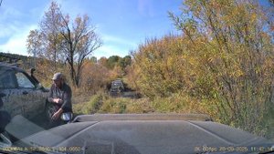 Сафари, танки сели на траве