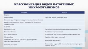 Семейкин 3 7