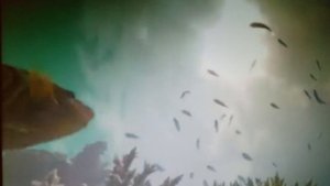 Не хочу я бежать за тобой в пустоту. читает автор Богдан Бандура.