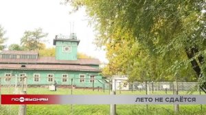 Бабье лето продолжится на этой неделе в Приангарье