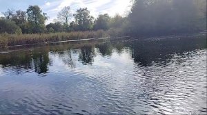Зеркалом блестит река