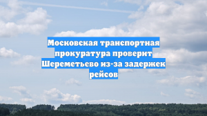 Московская транспортная прокуратура проверит Шереметьево из-за задержек рейсов