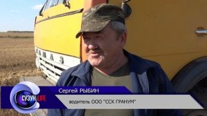 Уборка урожая в ООО "ССК- Гранум"