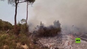 حرائق الغابات تجتاح جبل التركمان بريف اللاذقية غربي سوريا