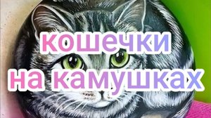 Кошечки на камушках