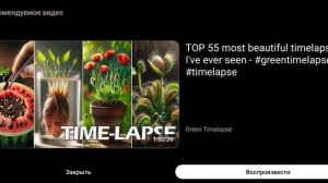 Овощи гиганты в огороде.Москва 2025.