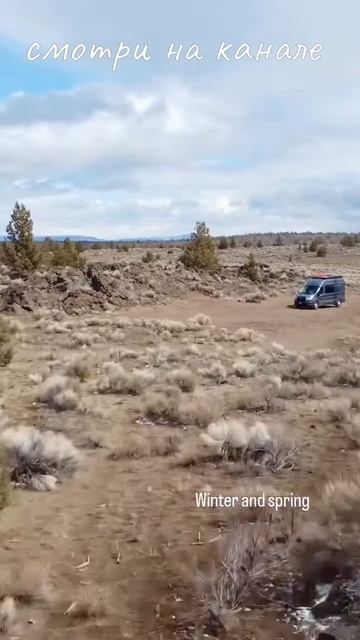 Практика тайцзи на природе