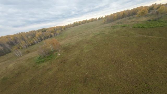 Золотая осень