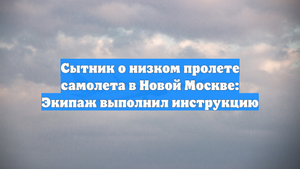 Сытник о низком пролете самолета в Новой Москве: Экипаж выполнил инструкцию