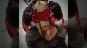 솜털 고양이 ᎷᏬᏒᏦᏗ 𝐘𝐀𝐊𝐔𝐙𝐀