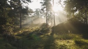 КРАСИВАЯ РОМАНТИЧЕСКАЯ МУЗЫКА ДЛЯ ДУШИ