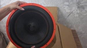 Сабвуфер от компании DL Audio Piranha 15 v.2