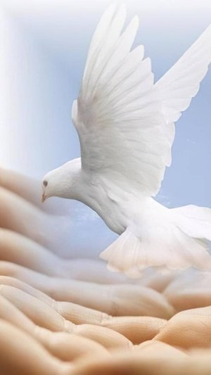 Премьера новой версии песни "Еретик": "В Доброту Людей Верую!"