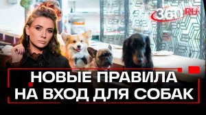В адеквате хозяин - в адеквате и собака. Запрет на животных в общественных местах