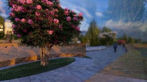 Barnhouse Apartaments